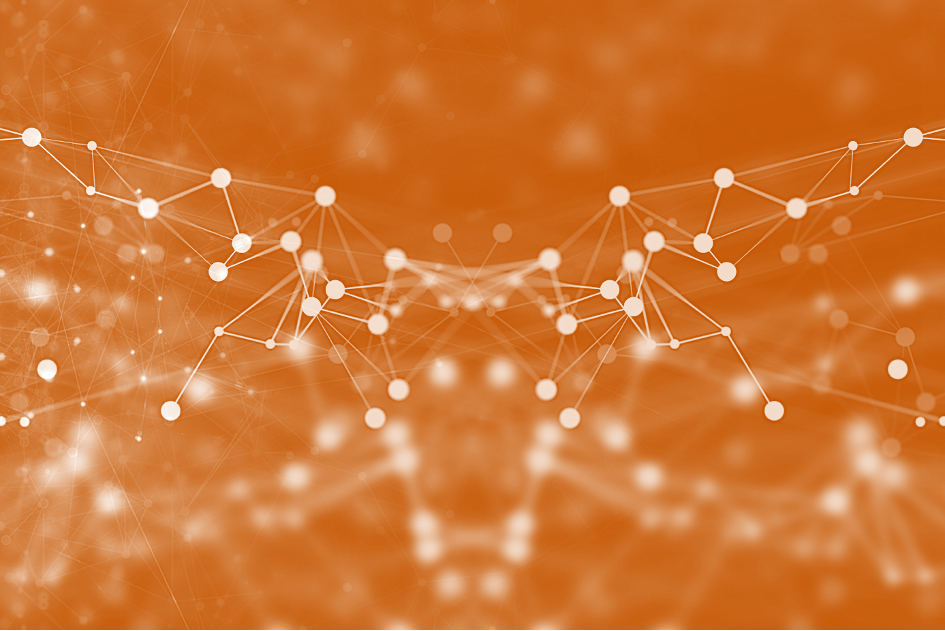  Young researchers & plateforms grants 