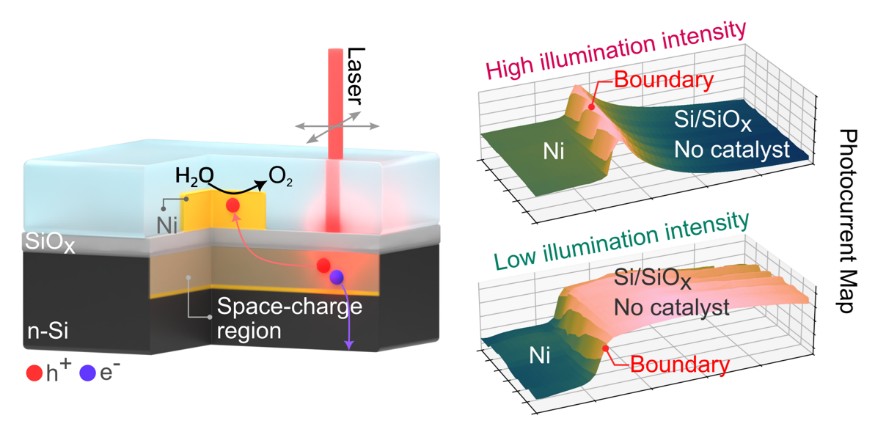  Transport de trous et catalyse pour la dissociation de l’eau : une étude du projet VISIBLE dans Chemical Science 
