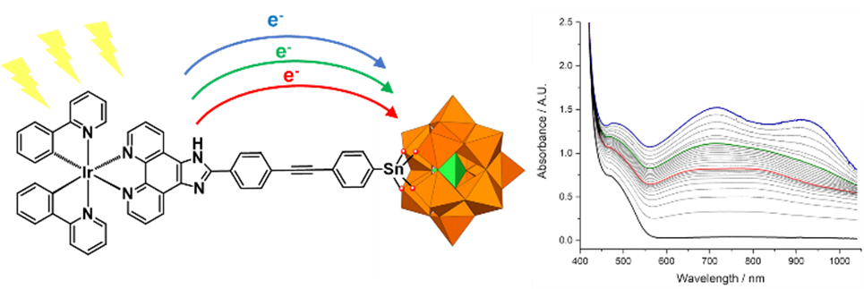  Une avancée clé pour la conversion multi-électronique de l’énergie solaire 