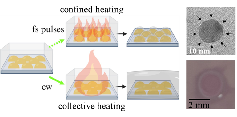  Deux modes de chauffage induits par des nanoparticules d&rsquo;or, révélés pour une même formulation 